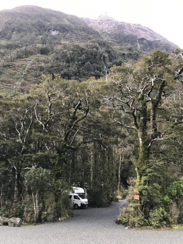 7236c8ad-1373-40b4-81ff-1235c37de04e