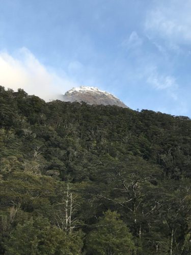 723b32cd-e870-40ea-af92-5b390c2a08bc