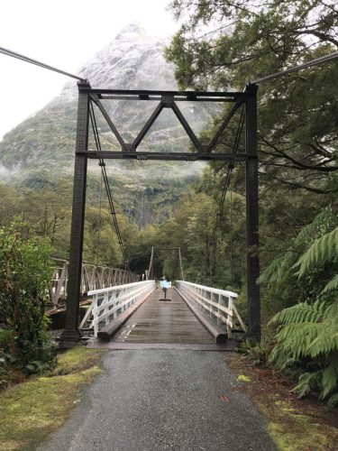 79cf22b6-5ec0-4f1f-943c-f51dab459ff5