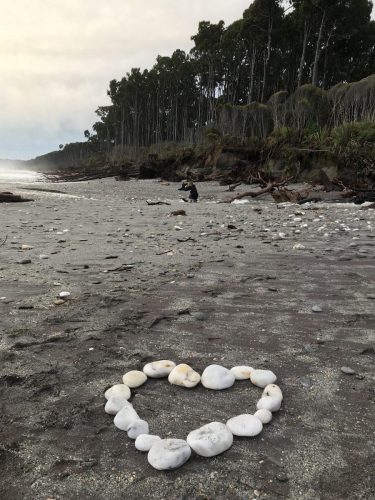 81394eb8-6ffb-4b96-8318-22e99ccc0a46