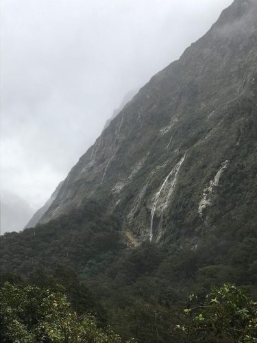 8a0866d8-d926-429a-a91a-ff140435eba4