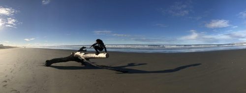 8cfe6772-f31a-42d9-8c95-4298ac1558b8