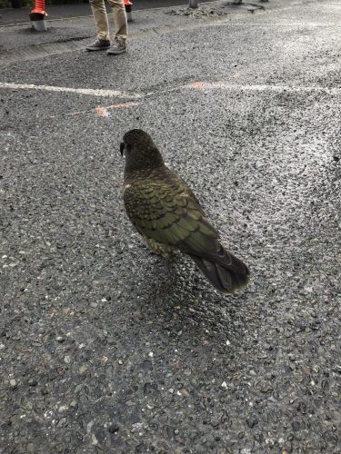 912593a8-0681-463f-8161-078941a9a0b6