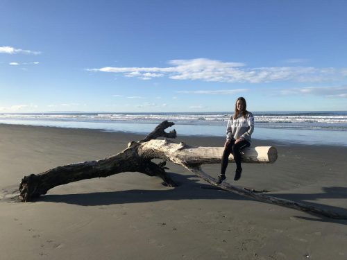 95581f2f-e783-4fbc-bd41-58ae759fa505