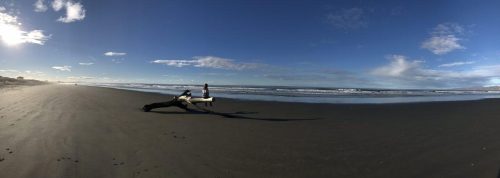 9d413f3b-53c3-42bc-9d8e-b89020372ebd