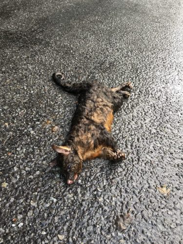 a9f85f83-3c5c-422a-b150-390c30a9b0ea