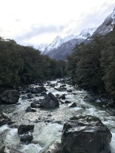 af87e484-c5af-4aa3-89f1-15aac7032880