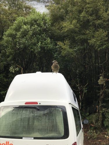 bc7fe899-af22-45e0-beba-69205267ecfe