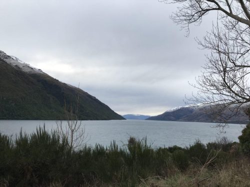 cf048bc2-7383-489b-b89a-9f48069556b7