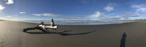 d4df8308-1c77-43c8-8c15-ff19299e0112