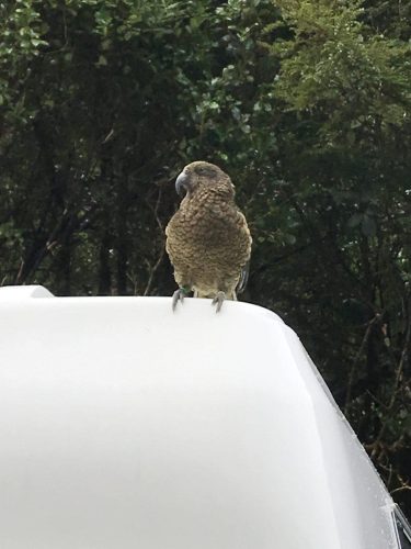 d60c75b4-1f88-49d9-a92e-0041d8ecdba3