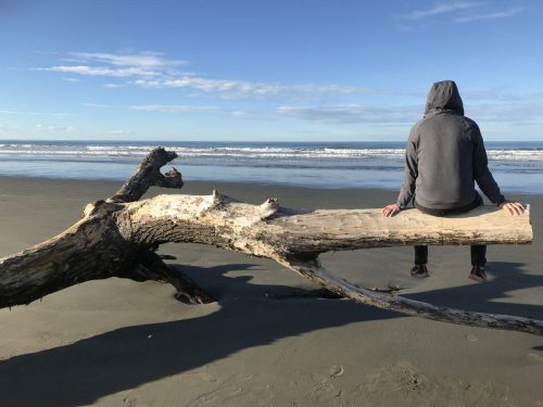 e2cbbd86-3721-45e4-8e4e-1d169c6e45fb