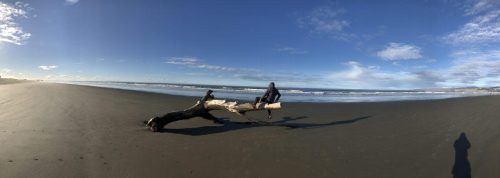 e375e264-37c2-4b87-8a46-3f54aefdedb5