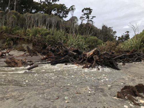 ee5f1e12-68ae-4497-a4b6-7d8040009642