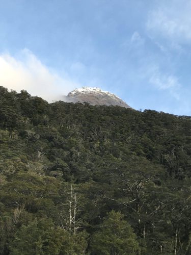 ef654011-0dc1-4244-96a3-add95bdfaddd