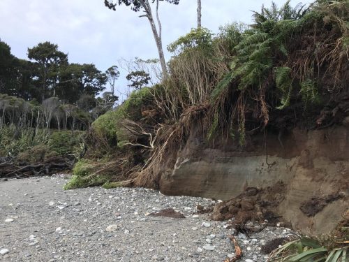 efed75a0-6698-47e4-aafd-8530f8911323