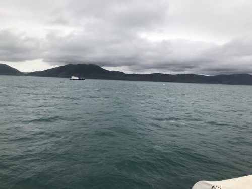 f25eec74-f326-4c03-91c1-562d15f03ec6