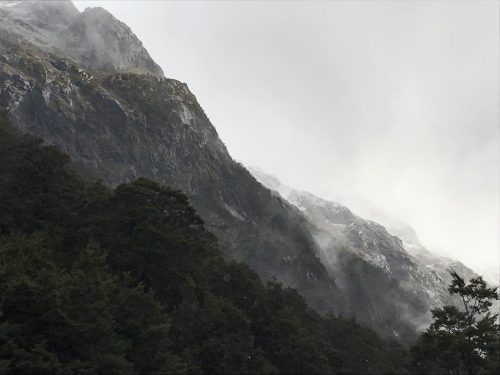 f3b804fa-ac3d-4490-998f-1a7dc287b2a2