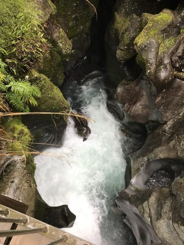 f70e6e81-4fd3-4aa6-b89c-da4281deb761