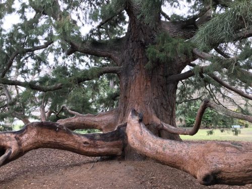 f7c39be5-0e21-4b16-9619-6d30ee568385