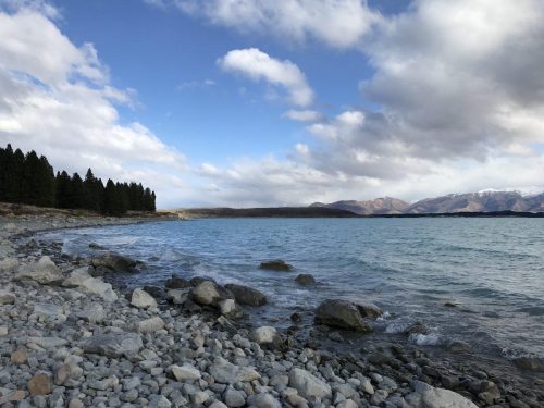 f8902cf3-2668-4c7c-a3a8-d928e2a6da3b