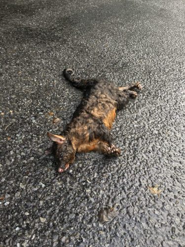 f9b1c04b-1fba-4a59-96ad-5a70523803d5