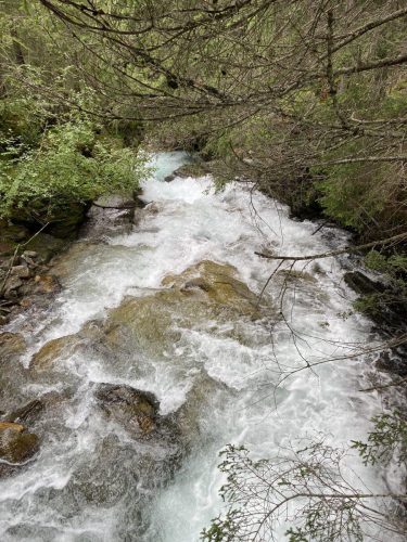 06d56765-3019-4c66-81ab-83abf504c2d3