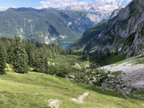 0c1a6ffb-f2a1-484c-9552-b084fd4dcb2d