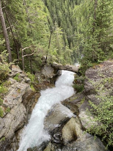 18294132-455e-4d86-8a83-0659c091ac19