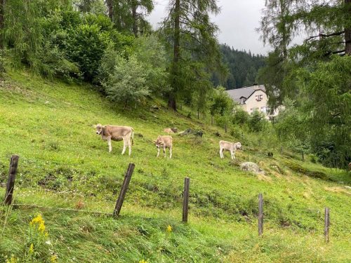 1a458123-060d-4d0d-8896-e42b6ea1ce56