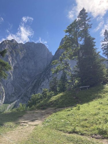 2ae0a882-282d-491f-a093-560ad791d989