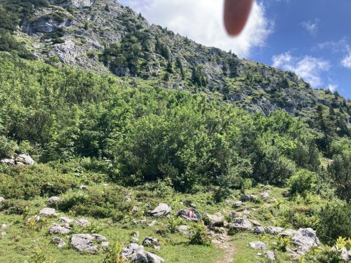 2e80dbc1-adbf-445d-ae24-dbbd4b048eec