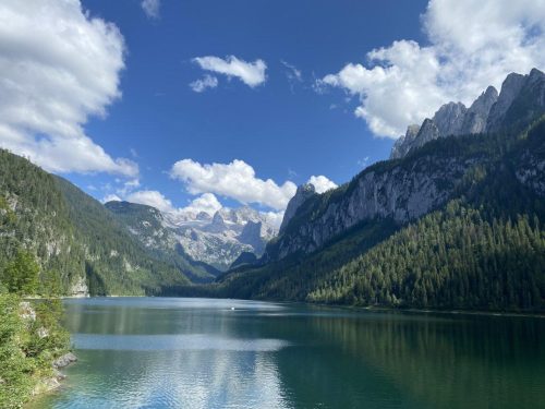 3c5886d0-b104-4f16-af87-fc2b13455461