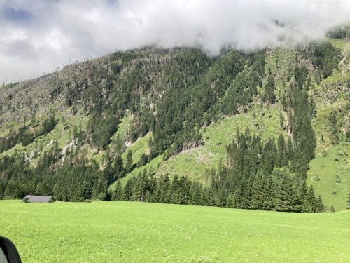 3c6e2555-901a-420e-85c1-4bf5891a4a3c