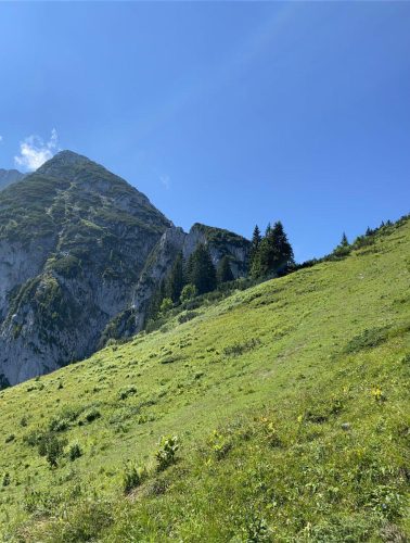 417784c6-244f-4f8a-adfe-74c2d040d80c