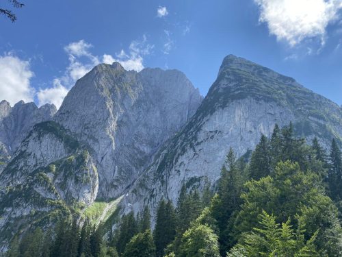 439e32aa-3572-423c-8266-71bdeeb87370