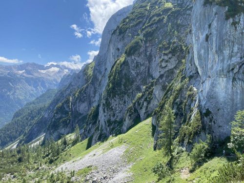 46f48e58-4809-4076-8b14-3e6ea867b274