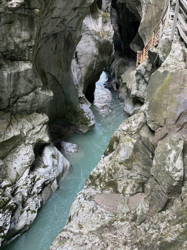 508caf4f-0e4b-45d2-8457-44e4921f1c6a