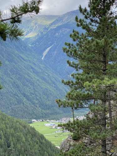 51e1ea23-4b77-4fca-82bd-523920efd236