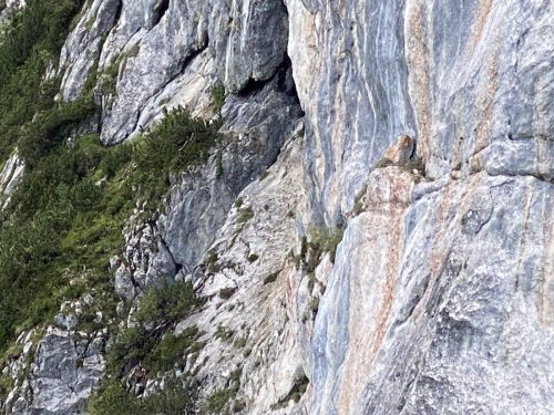 583e3d59-d508-4ef3-8e97-4ded1a53a4f3