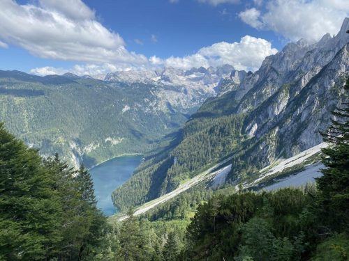 71f060ba-0f38-450d-be17-e924e198f8cd