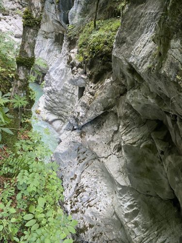 851ffc4f-f1bf-43e3-9ba9-ba56784efca4