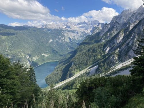 87f96fb1-a125-45e7-b95c-faf16875b6eb