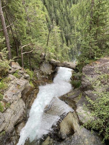 9acbb8d9-8ea8-4b3e-a51e-10042554a5a2