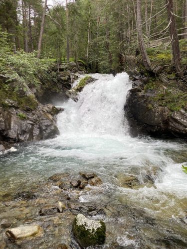 c5887f54-932d-4d8e-bc38-1255e3deaa5b