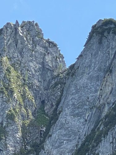 c7423f44-b26d-4e46-a908-5e080eda920f