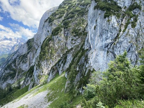 d3521d9c-829d-4805-a2f8-f3048a2d4681