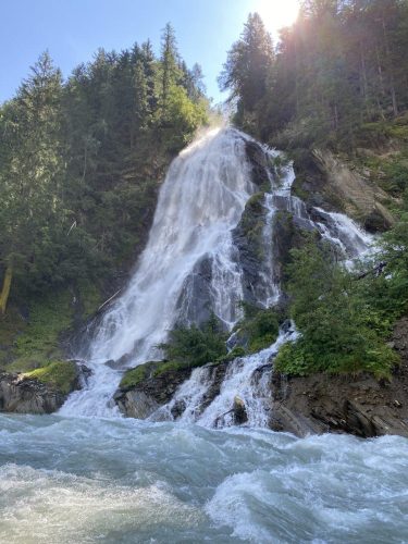 e29ac00c-2db4-430a-9b48-5482cd972c25