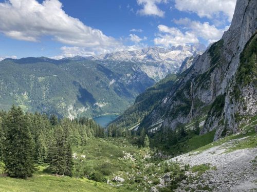 e3100f59-4f42-441e-b409-74422789e19f