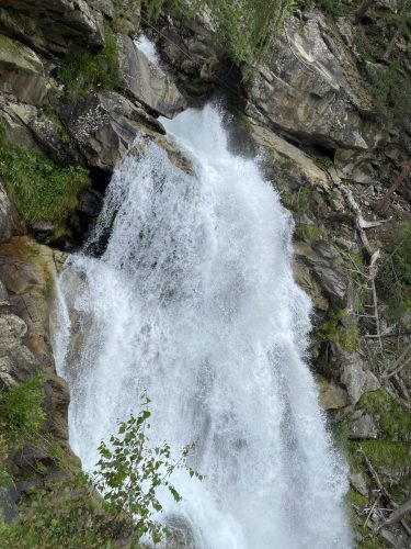 e62557c2-bb06-42c8-ac3b-4782eeba709d